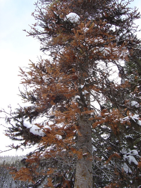 DSC04707